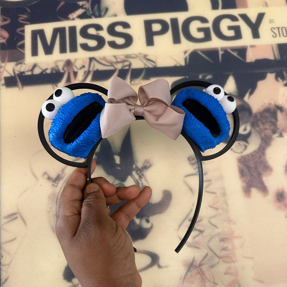 Theme Park Ears