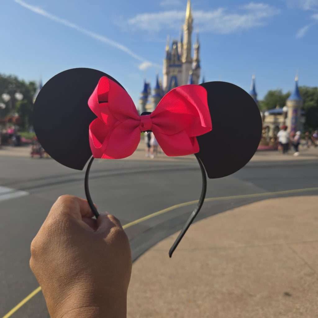 Solid Color Theme Park Ears
