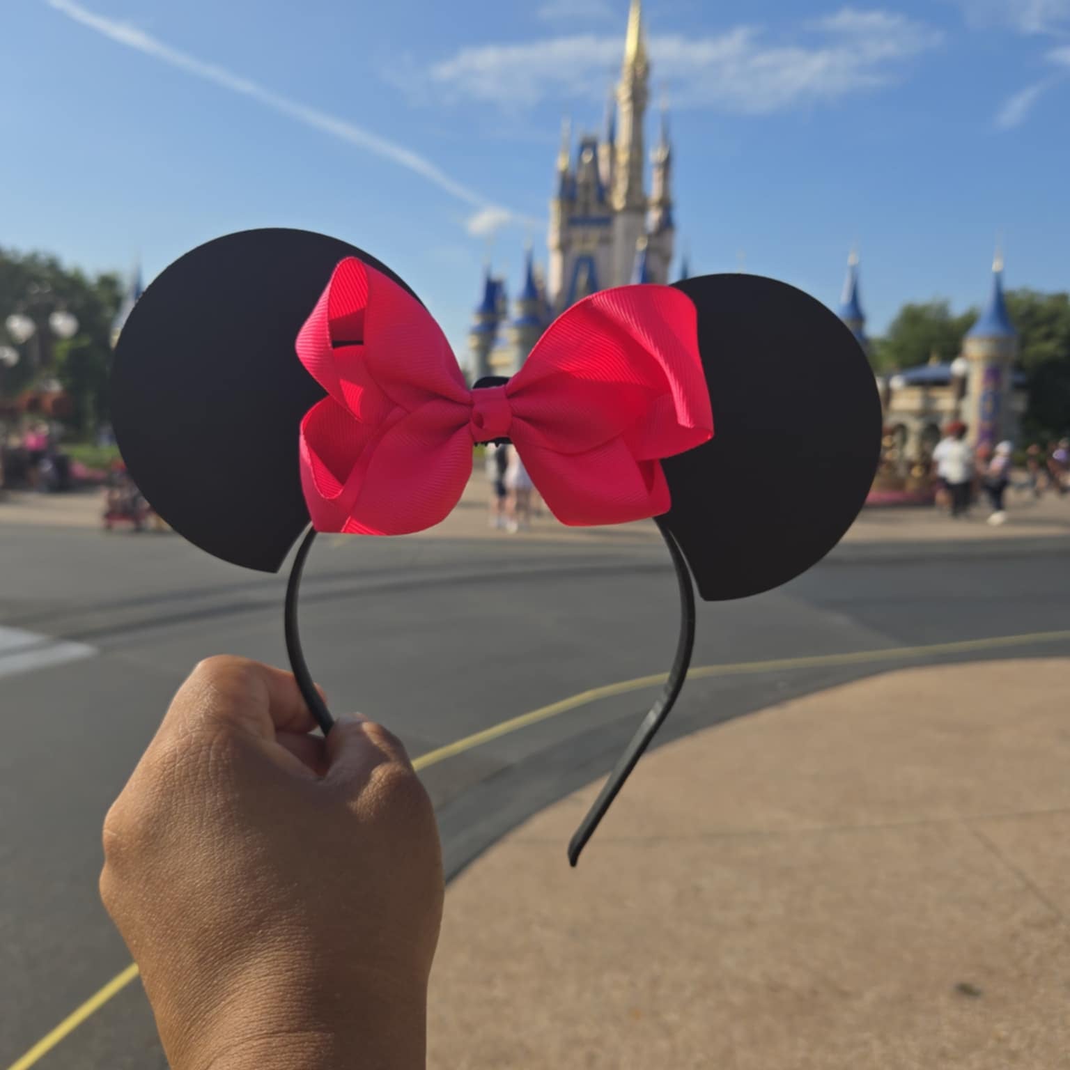 Solid Color Theme Park Ears