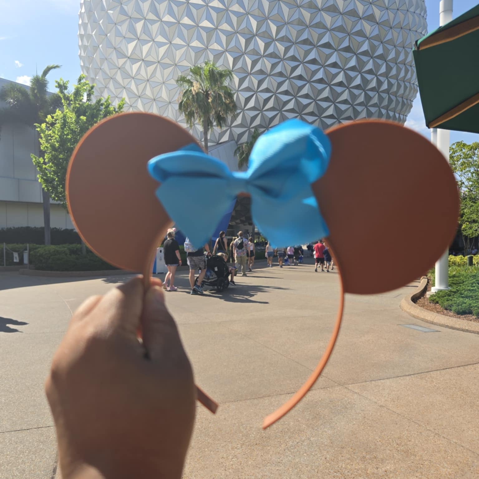 Solid Color Theme Park Ears