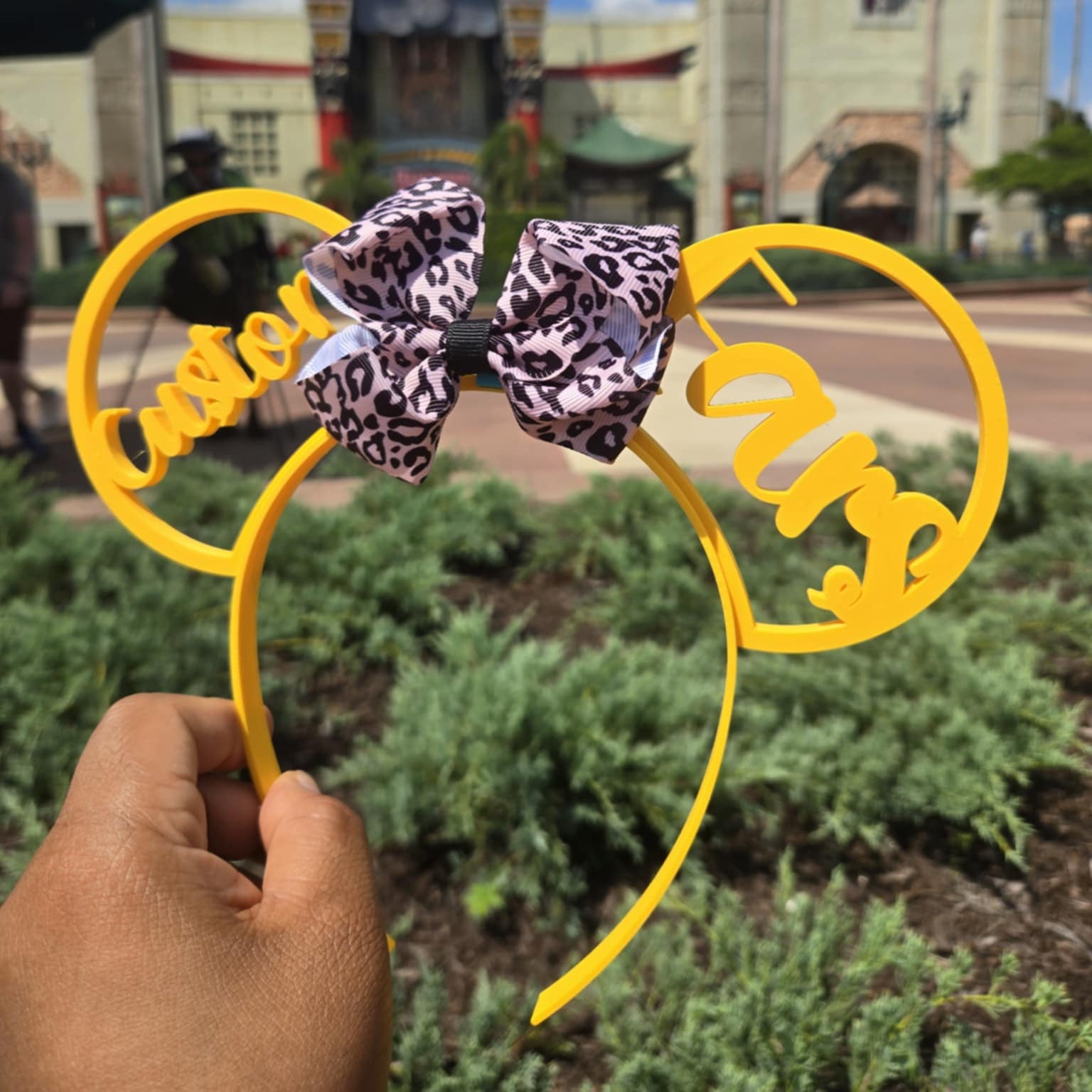 Custom Theme Park Ears