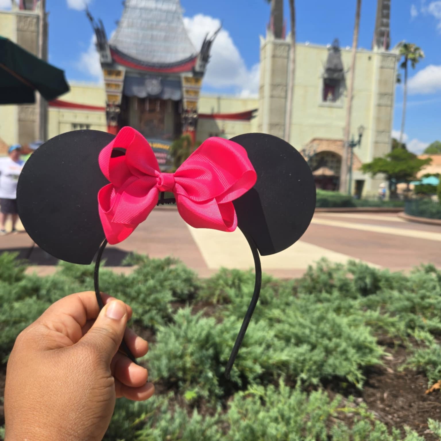 Solid Color Theme Park Ears