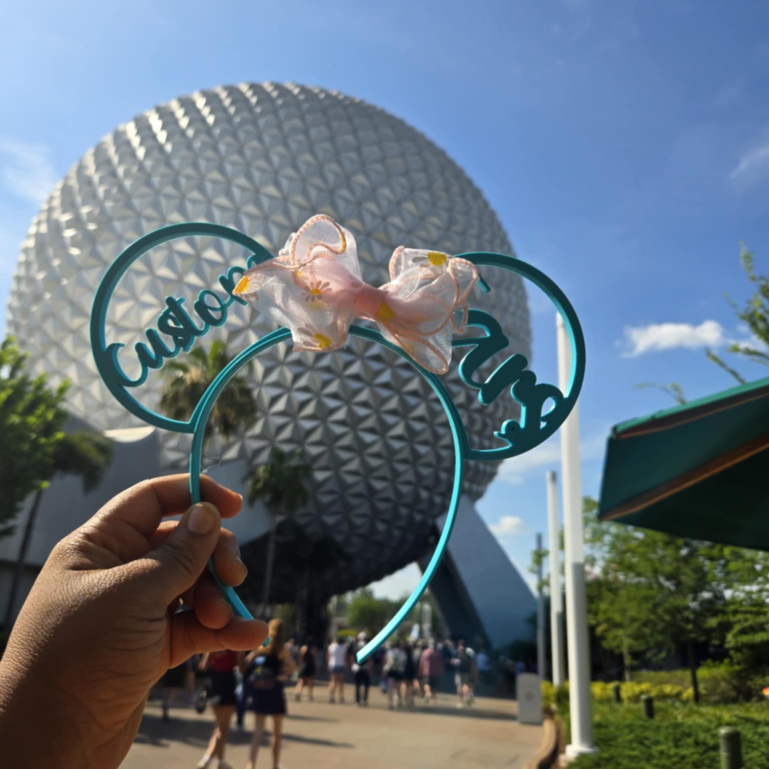 Custom Theme Park Ears