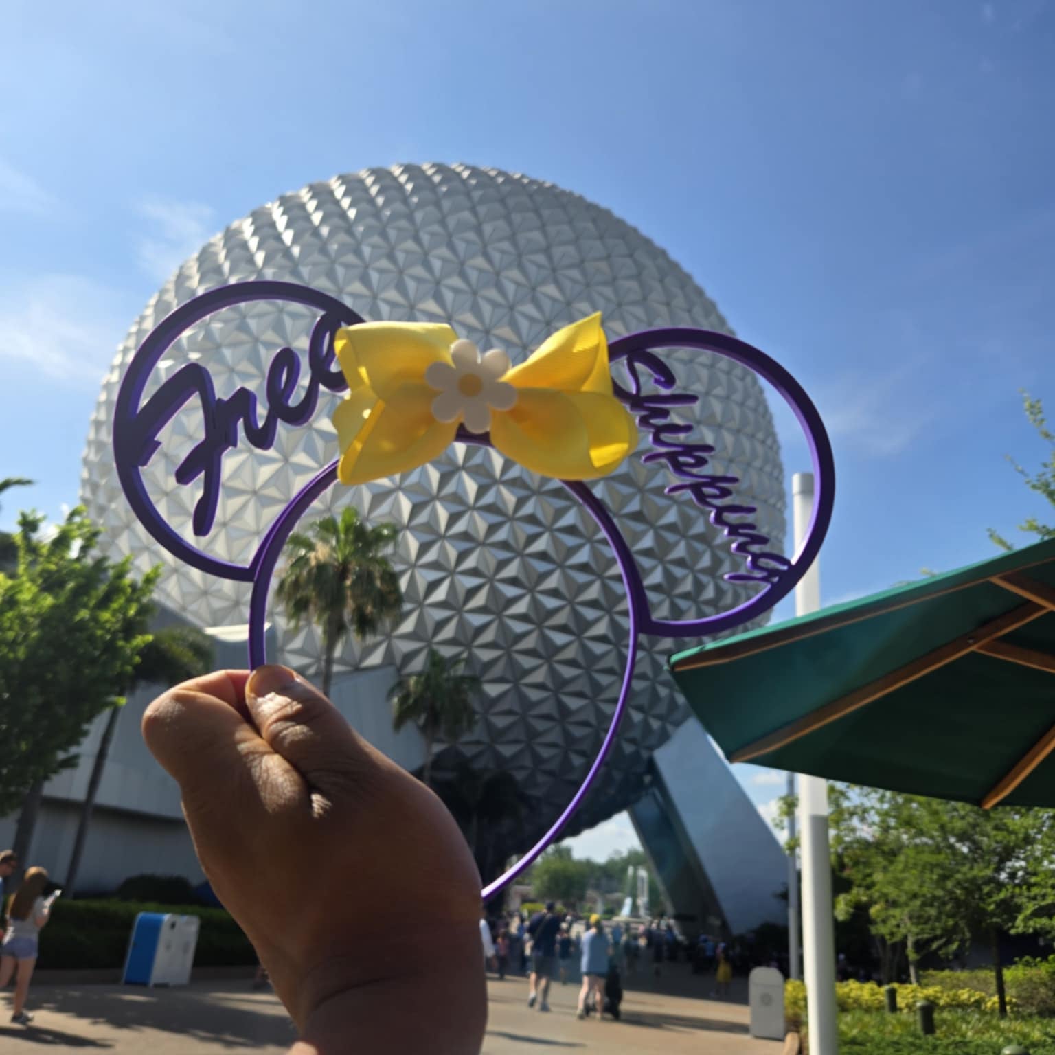 Custom Theme Park Ears