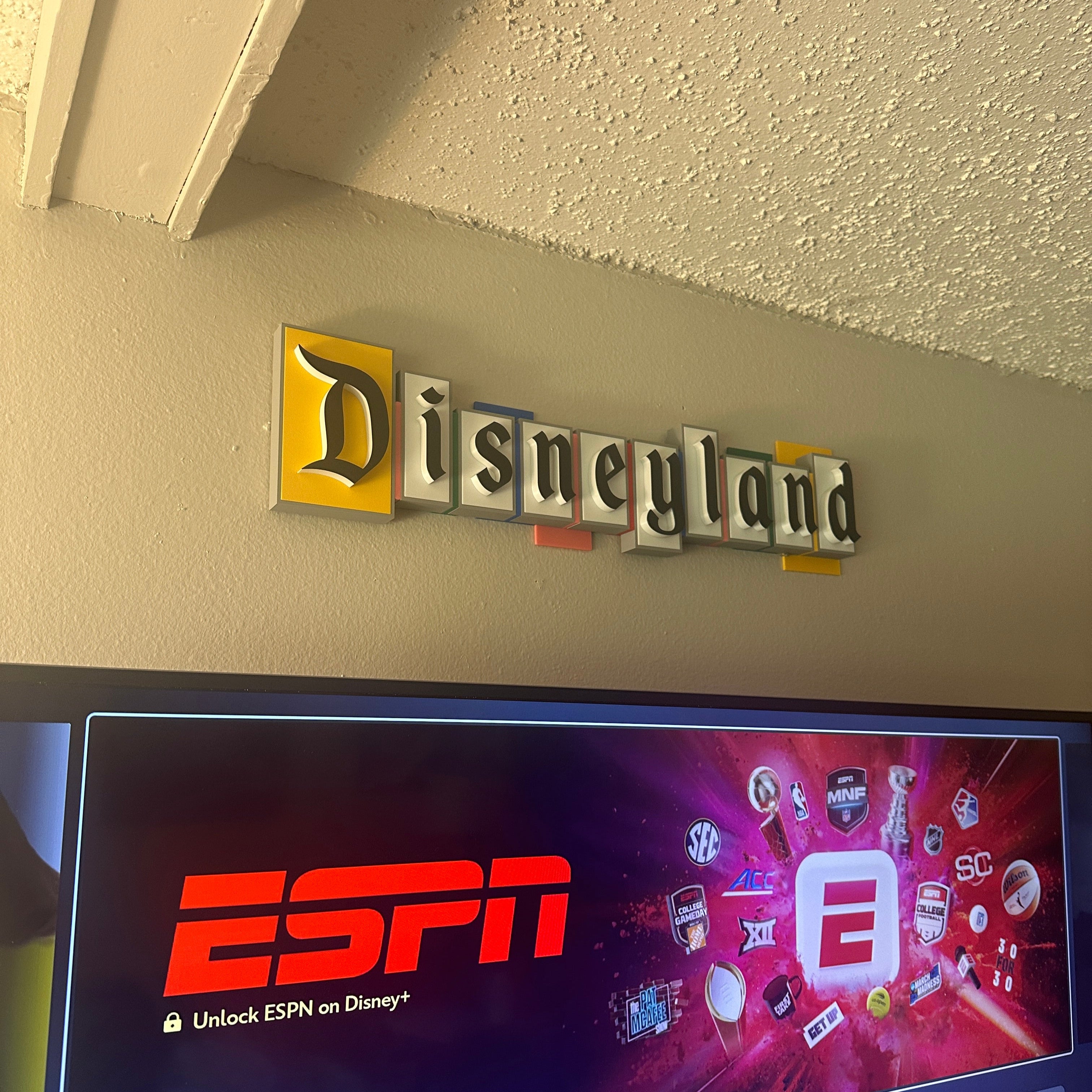 Vintage Disneyland Replica LED Sign