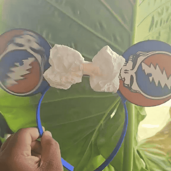 Spinning Grateful Dead Theme Park Ears