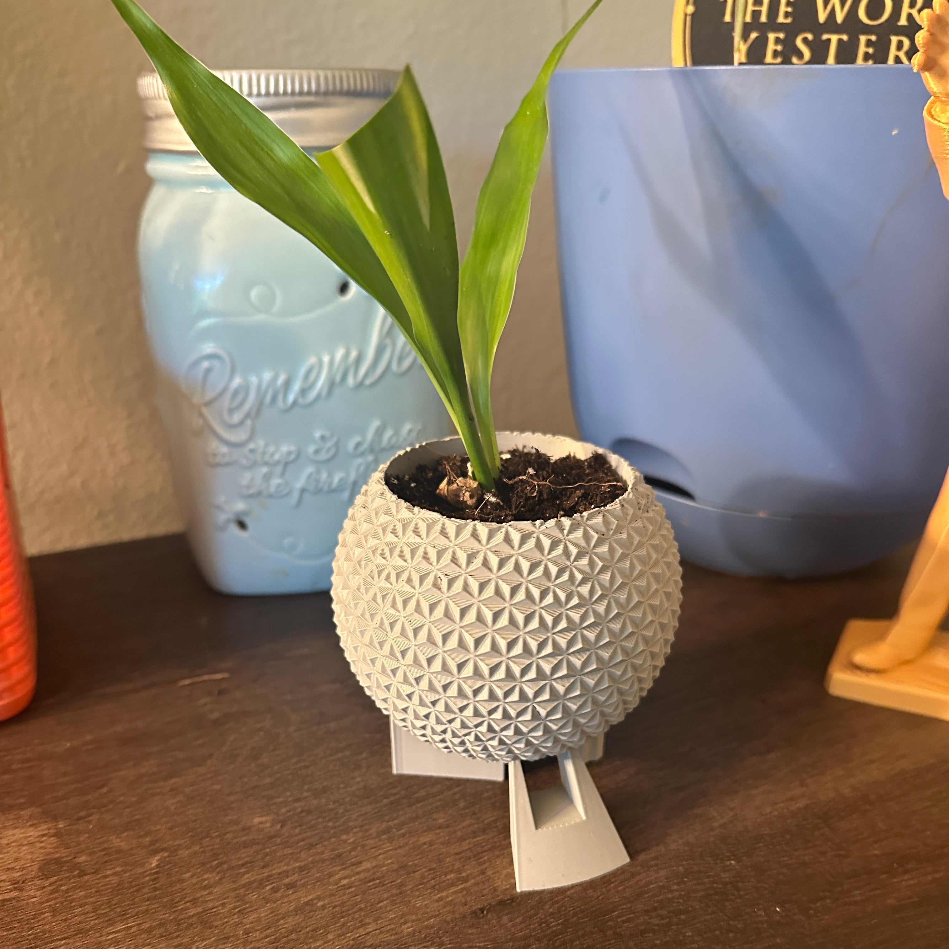 Spaceship Earth Planter with Succulent