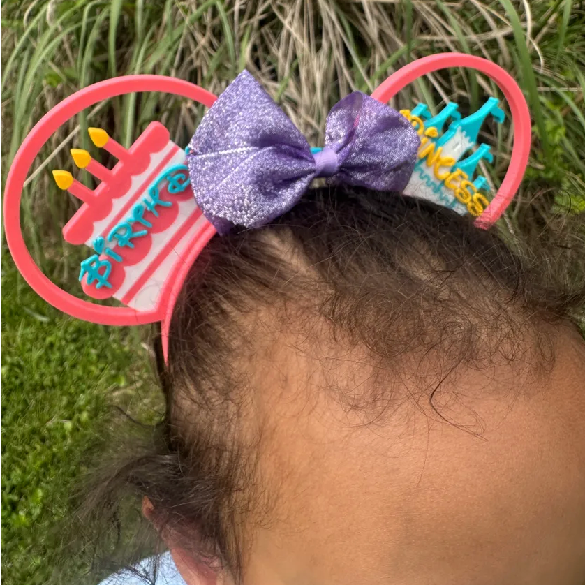 Birthday Princess Theme Park Ears